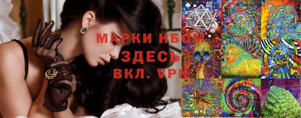 Альфа ПВП Аркадак