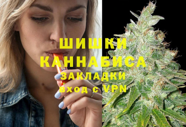 Альфа ПВП Аркадак